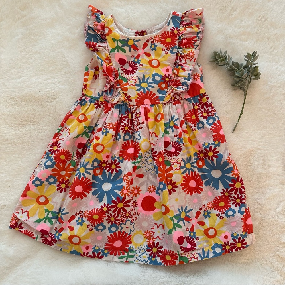 EPK | EUC - Ruffle Sleeve Floral Dress - Size 4 - Multicolor